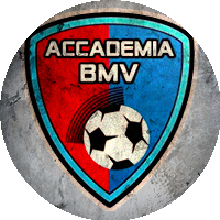 Logo Accademia BMV