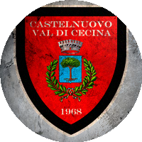 Logo Castelnuovo Val di Cecina