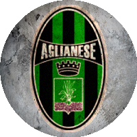 Logo A.M. Aglianese