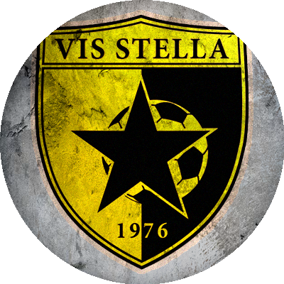 Logo Vis Stella MSP
