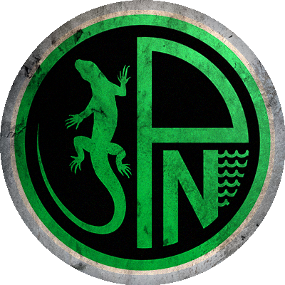 Logo Nuova Pordenone 2024