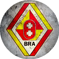 Logo Bra