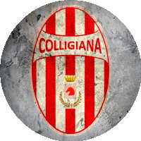 Logo Colligiana