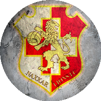 Logo Naxxar Lions FC