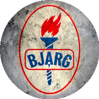 Logo Bjarg IL