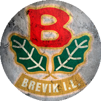 Logo Brevik IL