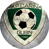 Logo Carina Gubin