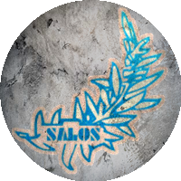 Logo Salos Szczecin
