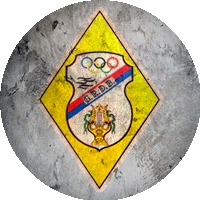 Logo Grupo Recreativo e Desportivo Bragadense