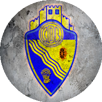Logo Clube Desportivo Lousanense