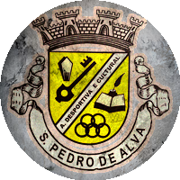 Logo Associação Desportiva Cultural São Pedro de Alva