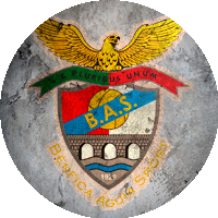 Logo Benfica Águia Sport
