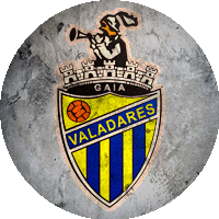Logo Valadares Gaia Futebol Clube