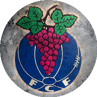 Logo Futebol Clube de Fontelas