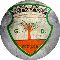 Logo Grupo Desportivo de Vila Nova de Foz Côa