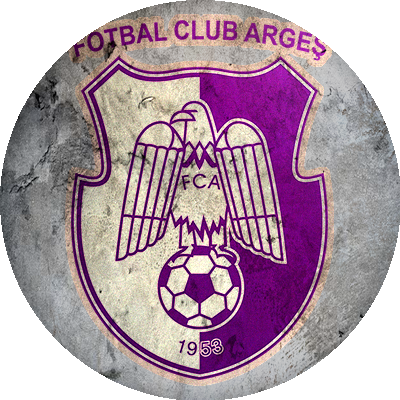 Logo ACS Campionii Fotbal Club Argeş
