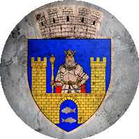 Logo CSM Făgăraş