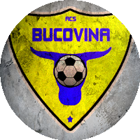 Logo Bucovina Rădăuți