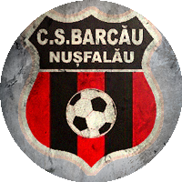 Logo CS Barcău Nuşfalău