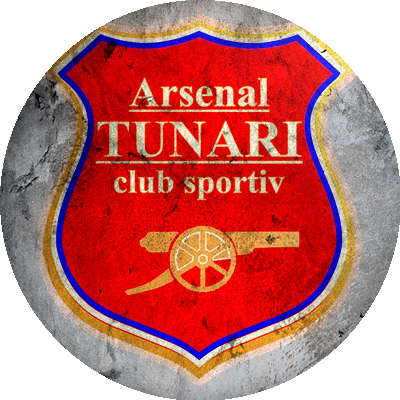 Logo CS Tunari