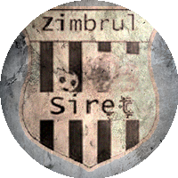 Logo CS Zimbrul Siret