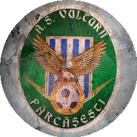Logo CS Vulturii Fărcăşeşti