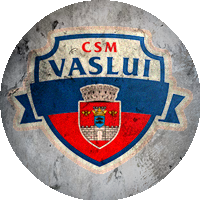 Logo CSM Vaslui