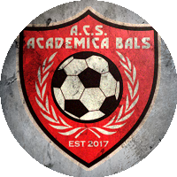 Logo ACS Academica Balş
