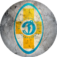 Logo Dinamo Stavropol