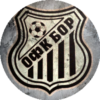 Logo FK Bor 1919