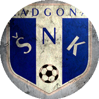 Logo NK Radgona