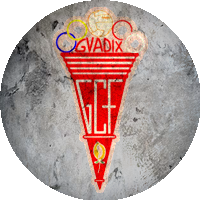 Logo Guadix C.F.