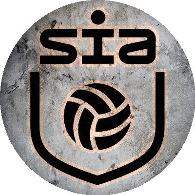 Logo Soccer Inter-Action Academy