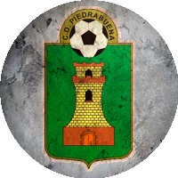 Logo Piedrabuena