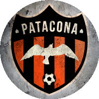 Logo Patacona C.F.