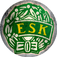 Logo Enköpings SK FK