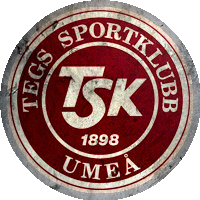 Logo Tegs SK Fotboll