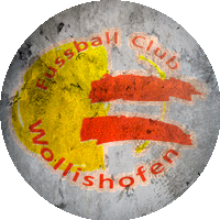 Logo FC Wollishofen