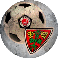 Logo FC Raron