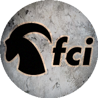Logo FC Interlaken