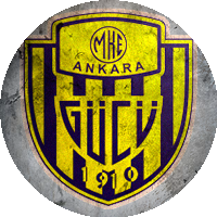 Logo Makina Kimya Endüstrisi Ankaragücü