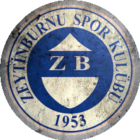 Logo Zeytinburnuspor
