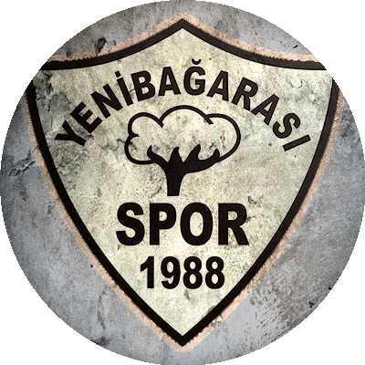 Logo Yeni Bağarasıspor