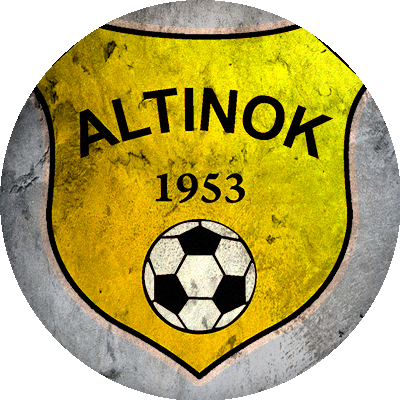 Logo Altınokspor