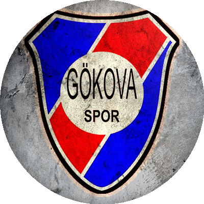 Logo Gökovaspor