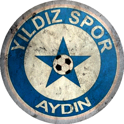 Logo Aydın Ay Yıldız Spor