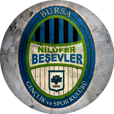 Logo Bursa Nilüfer Gençlik ve Spor