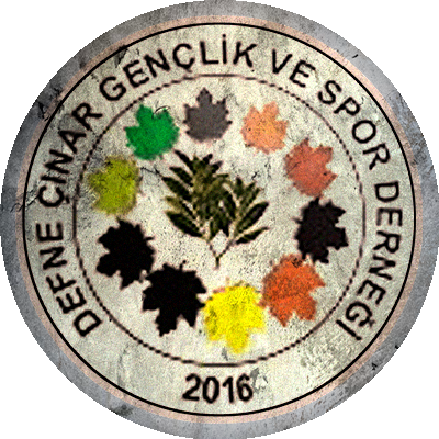 Logo Defne Çınar Gençlik Spor