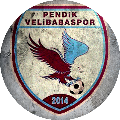 Logo Pendik Velibaba Spor
