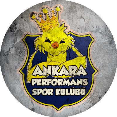 Logo Ankara Performans Spor